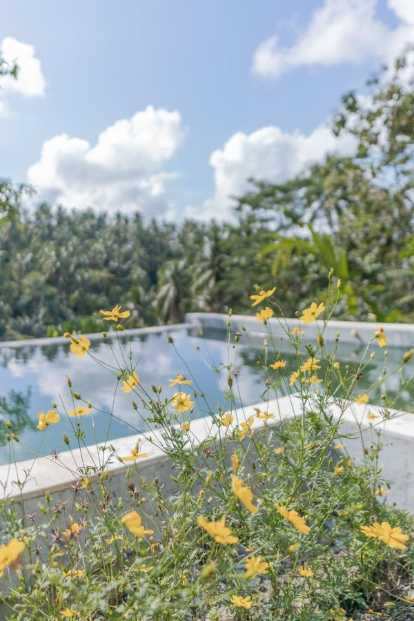 Galalima Glamping By Agata Hotel Meliling Kültér fotó