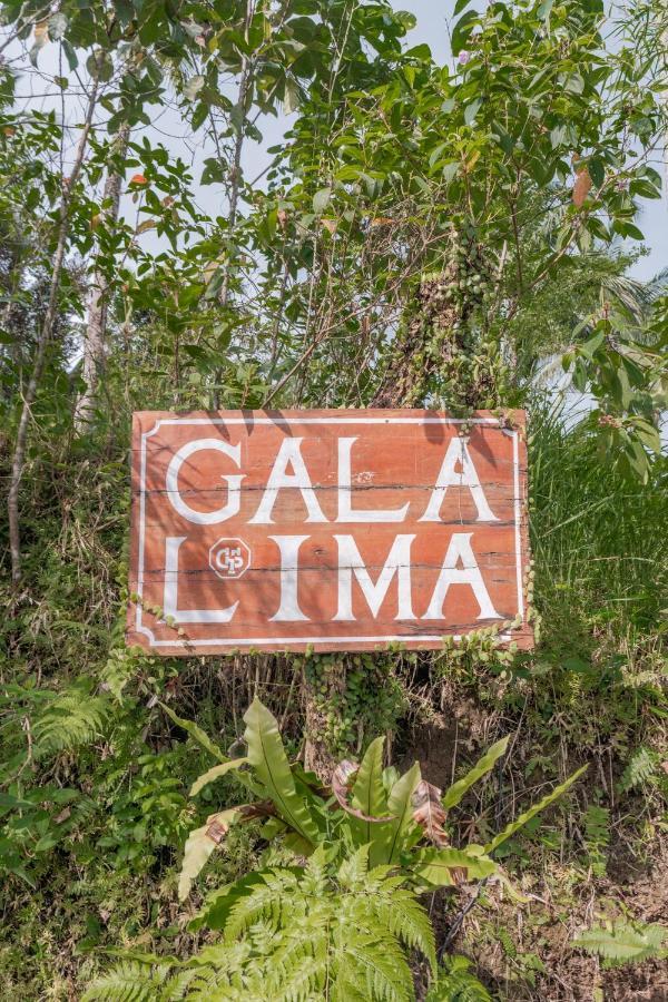 Galalima Glamping By Agata Hotel Meliling Kültér fotó